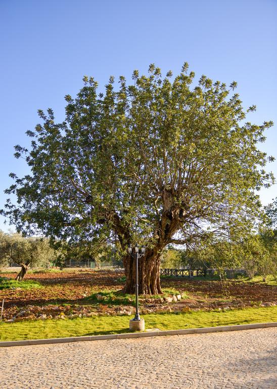 São Brás de Alportel Quinta Dos Tesourosヴィラ エクステリア 写真