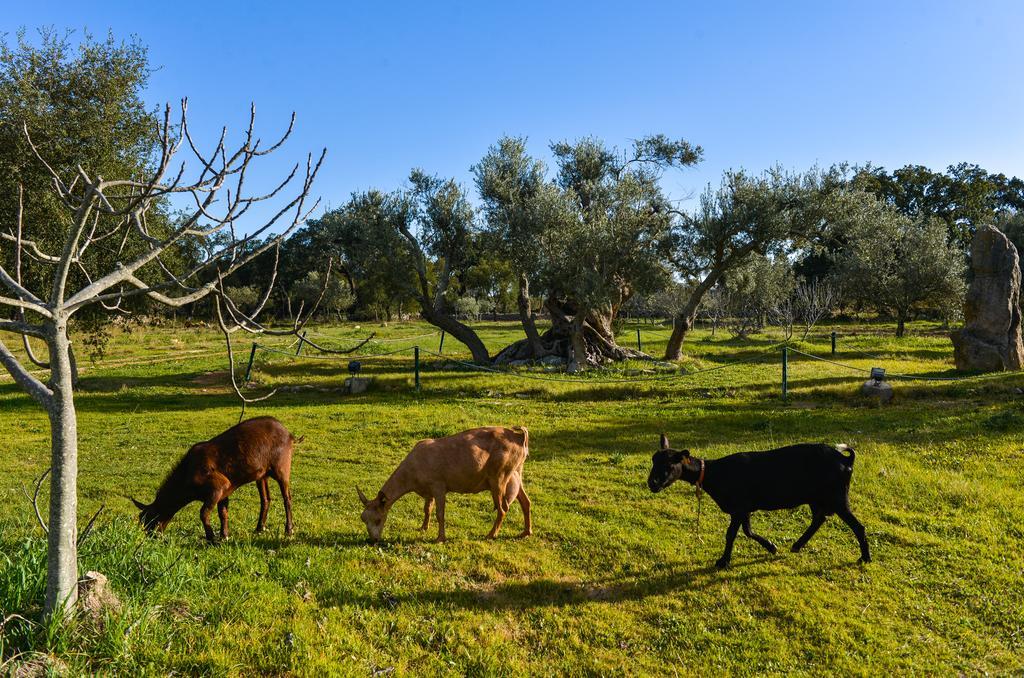 São Brás de Alportel Quinta Dos Tesourosヴィラ エクステリア 写真